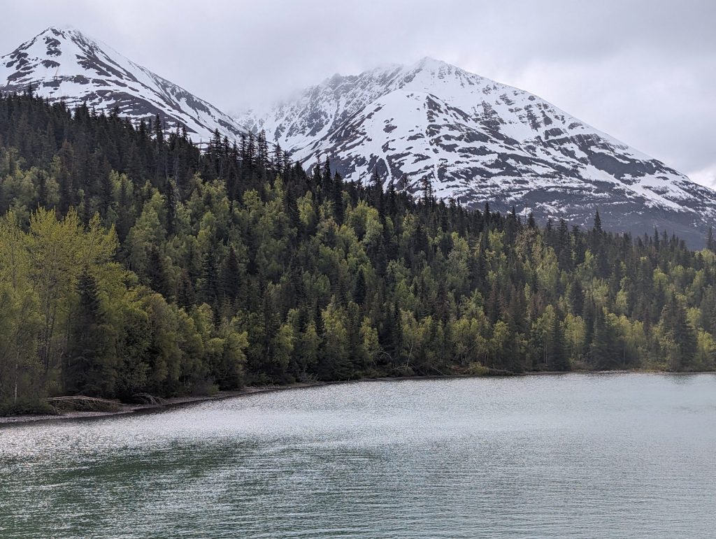 pxl 20240603 180650465 1 scaled.jpeg